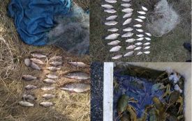 Риби на  6 тисяч гривень незаконно виловили з водойм Хмельниччини