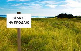 Ринок землі в Україні: що зміниться і як це буде працювати