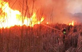 На Хмельниччині сталася масштабна пожежа сухої трави (ВІДЕО)