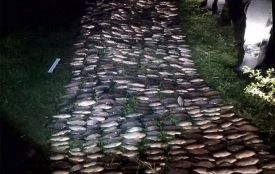 На Хмельниччині чоловік наловив 100 кілограмів риби електровудкою