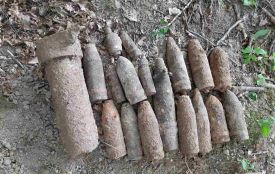 На Хмельниччині у лісі відкопали цілий арсенал боєприпасів (ФОТО, ВІДЕО)
