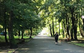 Проблема вигулу собак у Хмельницькому: як вирішать і які умови є зараз