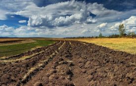 Після місцевих виборів держава передасть громадам всі землі сільгосппризначення