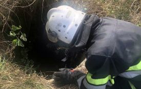 На Хмельниччині врятували собаку із 4-метрової ями
