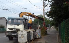 Коли і де збирають "зелені відходи" у Хмельницькому (ГРАФІК)