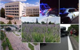 Від лавандового поля до ДТП з патрульними: ТОП новини за 5 липня на ВСІМ