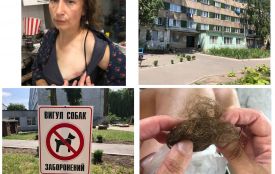 Жінки на Інститутській побилися за собак. Дві сторони конфлікту
