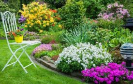 У Хмельницькому відбудеться виставка-ярмарок