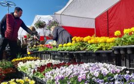 У Хмельницькому відбудеться садовий ярмарок