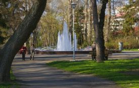 У парку Шевченка проведуть акцію з нагоди Дня Державності