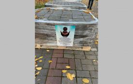 У дендропарку встановлять скульптуру за ідеєю Дениса Монастирського
