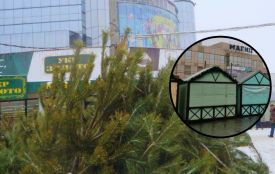 Стихійна торгівля біля “Плази”: на парковці облаштували ярмарок