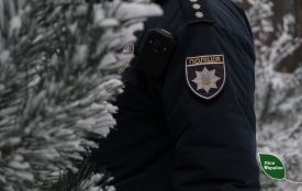 На Хмельниччині спіймали двох порушників, які рубали в лісі ялинки. Як їх покарали?
