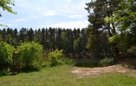 Помилуватись краєвидами Голубих озер: на Хмельниччині оновили туристичний маршрут (ФОТО)