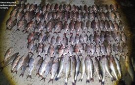 На Хмельниччині затримали браконьєрів, які завдали збитків на понад 790 тисяч гривень