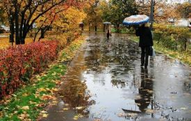 Дощі і грози: прогноз погоди на 25 вересня для Хмельниччини