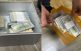 1,5 мільйона незадекларованих доларів знайшли у депутатки Хмельницької міськради