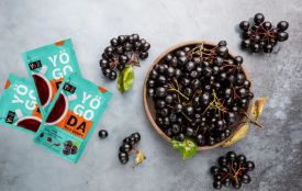 Осіння атмосфера затишку з чашкою чаю з чорноплідної горобини (новини компаній)