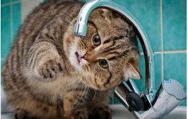 Через ремонтні роботи води не буде на 4 вулицях Хмельницького