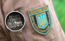 На Хмельниччині спіймали чоловіків, які незаконно наловили риби на понад 300 тисяч