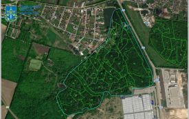 66,9 гектара лісу біля Хмельницького повернули ОВА. Частиною користується фірма Лабазюка