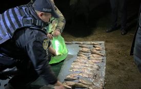Наловив риби на 200 тисяч гривень: на Південному Бузі спіймали браконьєра