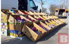 У Хмельницькому відбудеться квітковий ярмарок. Запрошують представників бізнесу