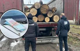 Корупційну схему організували лісівники на Хмельниччині: їх затримали