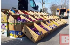 У центрі Хмельницького відбудеться квітковий ярмарок. Деталі