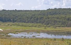 Озеро-примару на Хмельниччині хотіли приватизувати