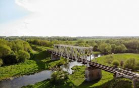 На березі Південного Бугу висадять дерева. Як долучитися