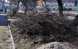З дворів хмельничан комунальники вивозитимуть гілля. Де та коли