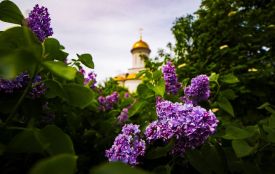 Церковний календар на травень-2025: головні свята і дата Вознесіння