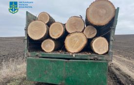 На Хмельниччині затримали лісничого – привласнив деревину на 400 тисяч гривень