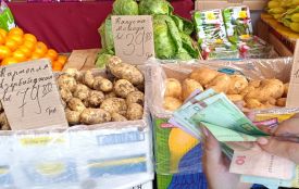 Звідки привозять молоду картоплю і які ціни у Хмельницькому
