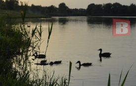 Чи будуть вночі заморозки: прогноз на 14 травня для Хмельниччини