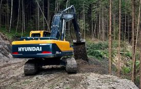На Хмельниччині прокладуть нову дорогу через ліс