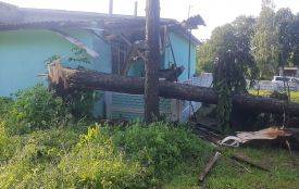 На Хмельниччині під час грози дерево травмувало 74-річного чоловіка
