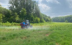 У Хмельницькому почали обробляти парки від кліщів. Де ще працюватимуть комунальники