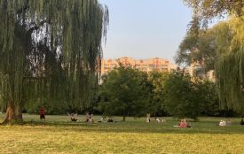 Розваги та кіно просто неба: хмельничан кличуть провести вечір у Молодіжному парку