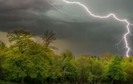 Штормове попередження: на Хмельниччині найближчим часом очікується гроза