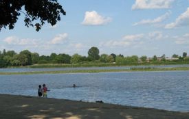 Де безпечно купатися на Хмельниччині: результати досліджень