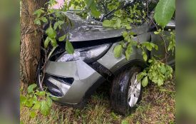 На Хмельниччині автівка злетіла з дороги та врізалась у дерево (ФОТО)