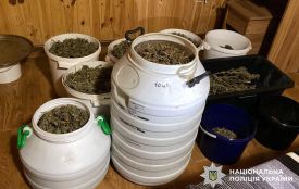 У хмельничанина знайшли канабісу на 1,2 мільйони: що йому загрожує