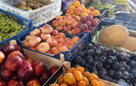 Диня, персики і лохина: які ціни на фрукти і ягоди у Хмельницькому