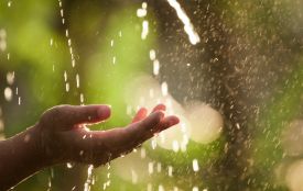 Прогнозують дощ. Погода на 10 серпня для Хмельниччини