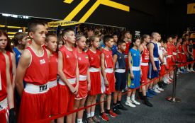 У Хмельницькому стартував чемпіонат України з боксу