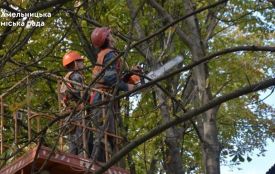 У Хмельницькому вирізатимуть аварійні дерева: можливі ускладнення руху