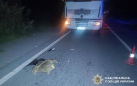 Вантажівка збила пішохода на Хмельниччині. Він в лікарні