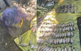 На Хмельниччині в "браконьєрів" вилучили 196 карасів. Збитки — 180 тисяч гривень
